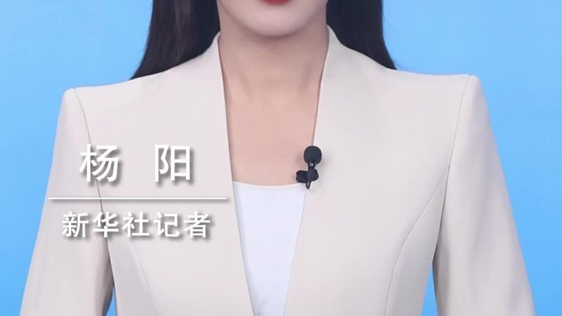 企业数字化解决方案：优劣势解析与选型建议
